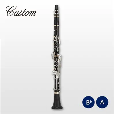 Yamaha clarinet YCL-250 (Bb)