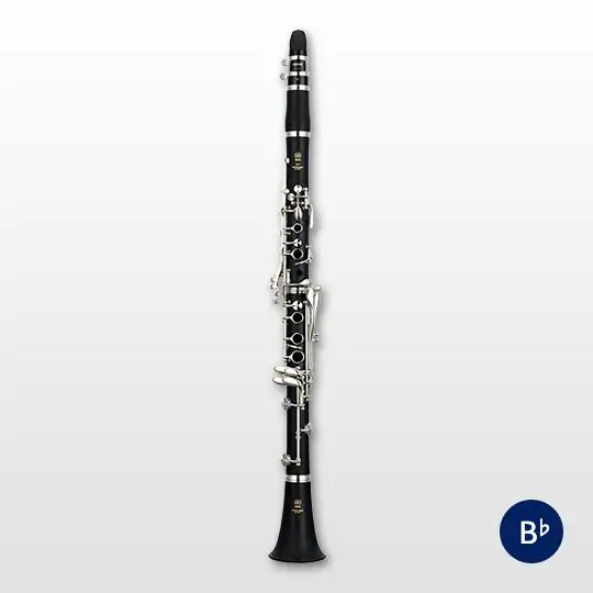 Yamaha clarinet YCL-255 (Bb)