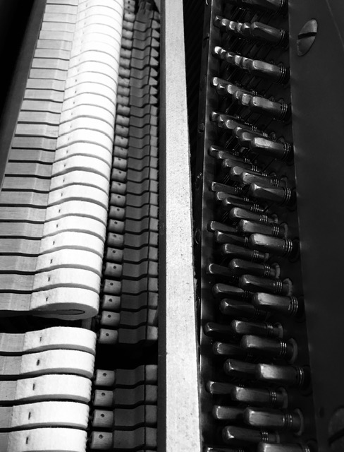 piano_hanoi_action_lester_-1601784016.jpg piano_hanoi_action_lester_-1601784016.jpg